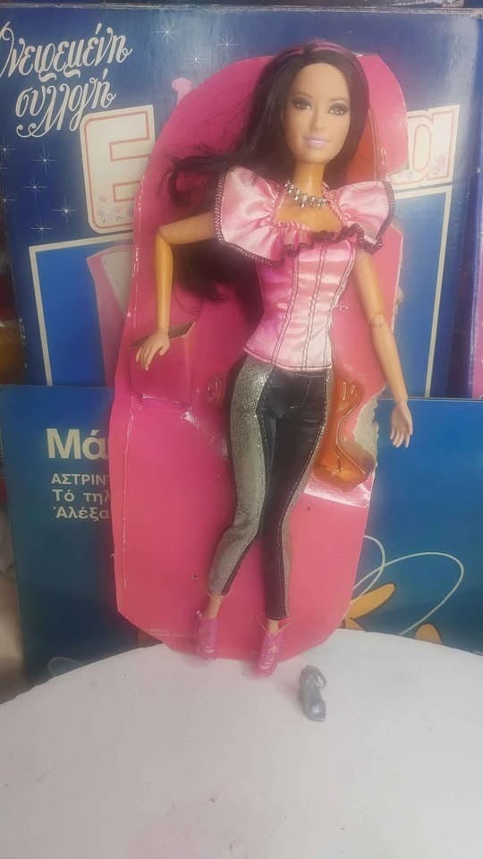 Συλλεκτική Barbie Fashionistas Raquelle – 2011 ✨
