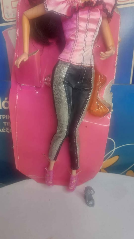 Συλλεκτική Barbie Fashionistas Raquelle – 2011 ✨