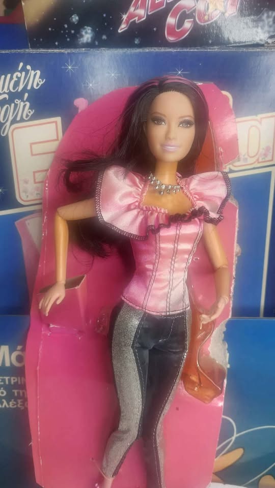 Συλλεκτική Barbie Fashionistas Raquelle – 2011 ✨